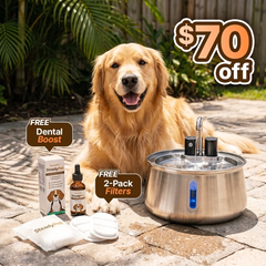 Wireless Steadypet Fountain with a golden retriever — $70 off, free Dental Boost and free 2-pack of filters