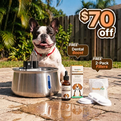 Wireless Steadypet Fountain with a French bulldog — $70 off, free Dental Boost and free 2-pack of filters
