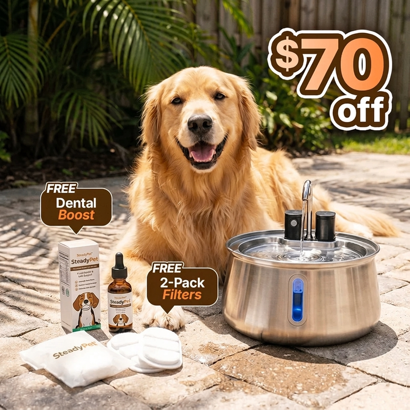 Wireless Steadypet Fountain with a golden retriever — $70 off, free Dental Boost and free 2-pack of filters